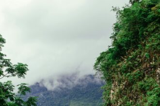 Viajes post-COVID: tendencias de turismo responsable y destinos 2024