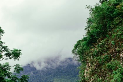 Viajes post-COVID: tendencias de turismo responsable y destinos 2024
